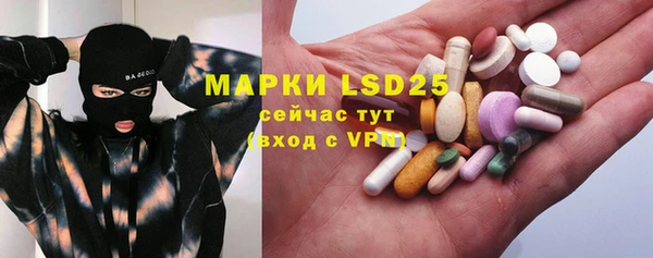 индика Абинск