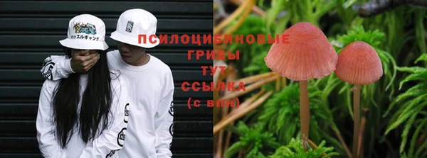 хмурый Абаза