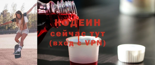 мдпв Каменка