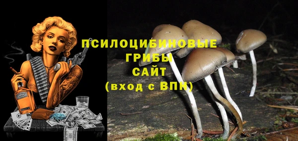 прущие крисы Алзамай