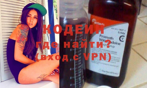 хмурый Абаза