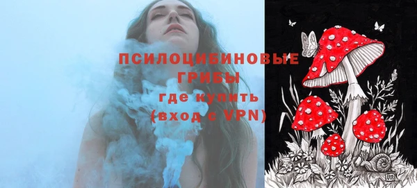 a pvp Алексин