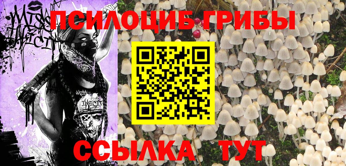 Псилоцибиновые грибы мицелий Кызыл