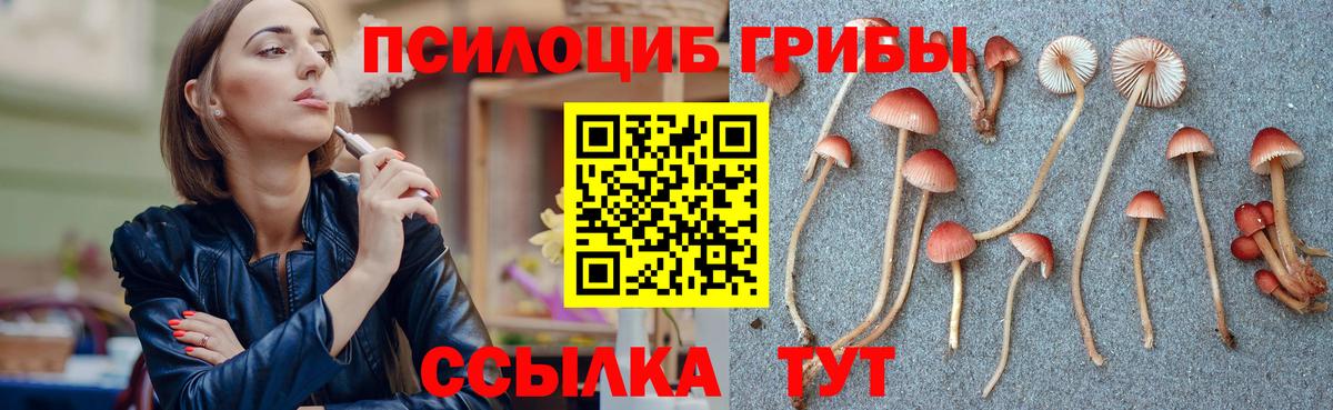 Галлюциногенные грибы Psilocybine cubensis  Вход с VPN  Галлюциногенные грибы Cubensis  Кызыл 